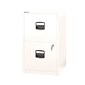 Bisley 2 Drawer Vertical File, White, Letter, 17''W (FILE2-WH)