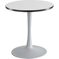 Safco Cha-Cha™ 30 Round, Trumpet Base Sitting Height Table, Silver/Silver (2475GRSL)