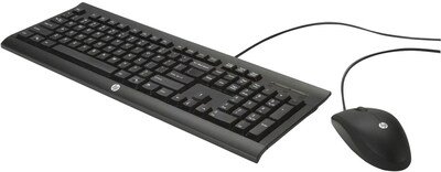 HP c2500 Wired Keyboard and Mouse Desktop Combo