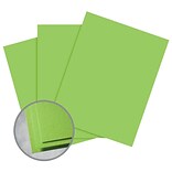 Neenah Astrobrights Smooth Colored Paper, 24 lbs, 8.5 x 11, Vulcan Green, 5000 Sheets/Carton (2185