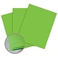 Astrobrights Smooth Color Paper, 8.5" x 11", 65# Cover, Terra Green, 2000/CA