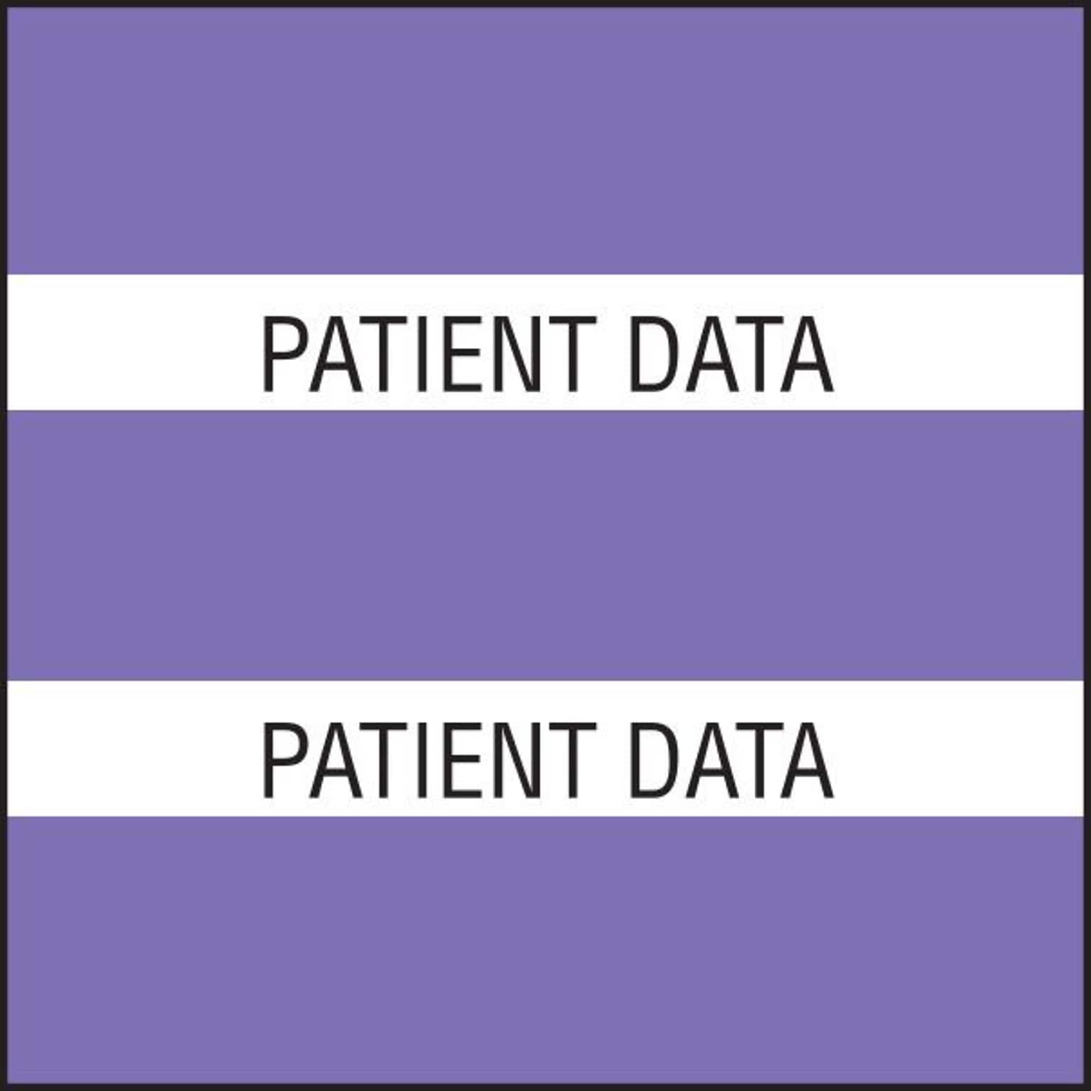 Medical Arts Press® Large Chart Divider Tabs, Patient Data, Purple