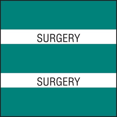 Medical Arts Press® Large Chart Divider Tabs, Surgery, Teal