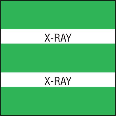 Medical Arts Press® Large Chart Divider Tabs, X-Ray, Lt. Green
