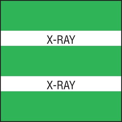 Medical Arts Press® Large Chart Divider Tabs, X-Ray, Lt. Green