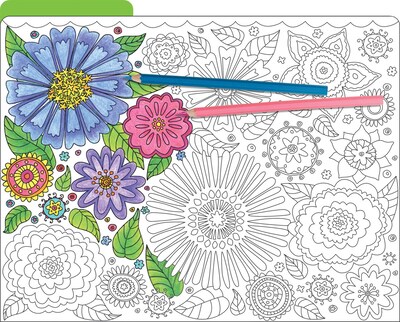 Barker Creek Color Me! In My Garden Decorative Letter-Sized File Folders, Multi-Design, 3-Tab, 12 pe