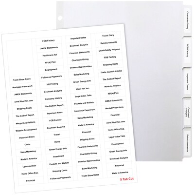 Quill® Custom Label Index Systems; 25 Sets Of 5-Tabs