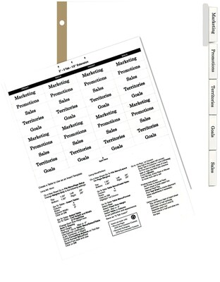 Quill Brand® Big Tab Indexes- Dividers for Laser and Inkjet Printers; 5-Tab, White, Clear Tabs