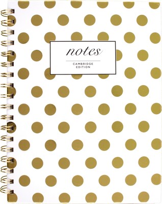 Cambridge 1-Subject Professional Notebooks, 7 x 9.5, Wide Ruled, 80 Sheets, Gold (59016)