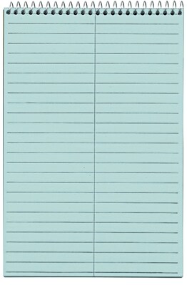 TOPS Prism Steno Pads, 6 x 9, Gregg, Blue, 80 Sheets/Pad, 4 Pads/Pack (TOP 80284)