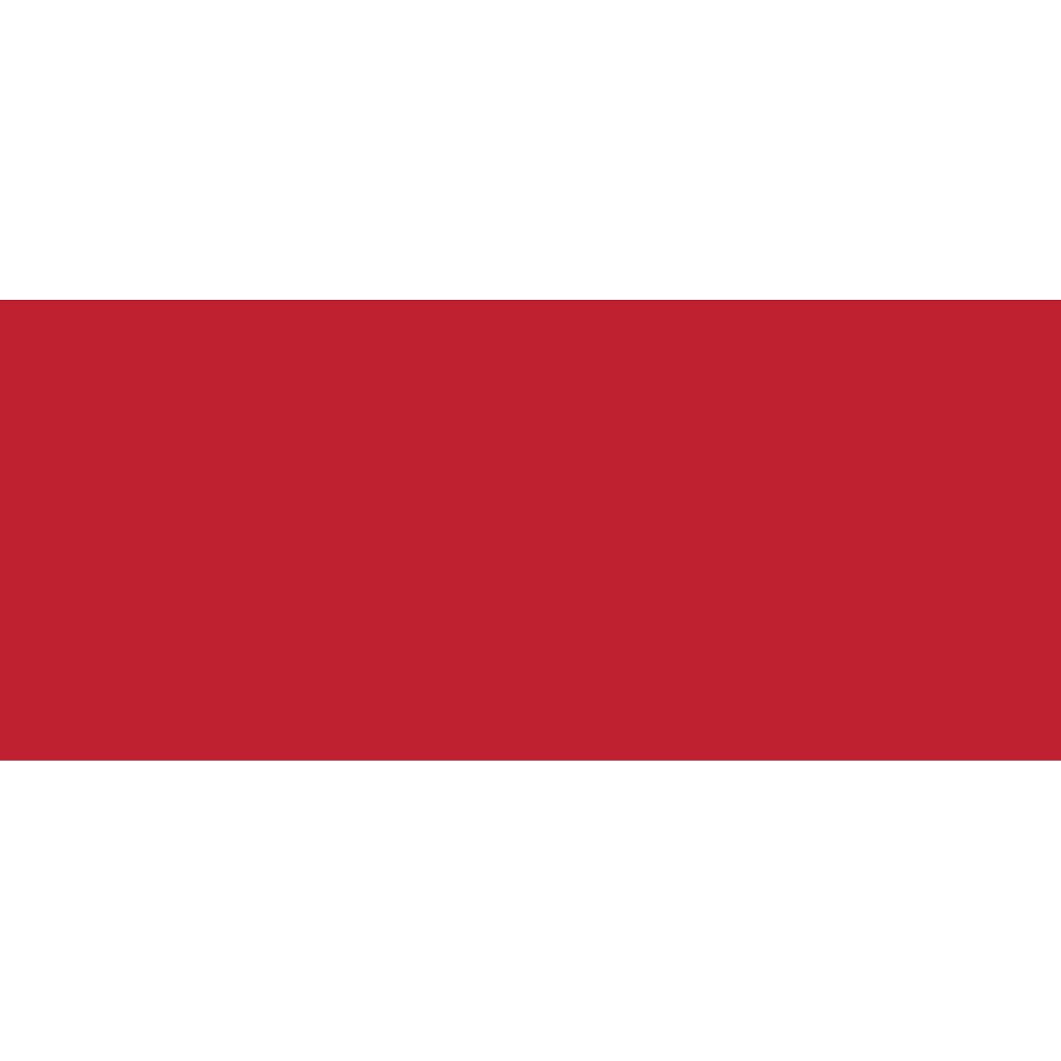 Great Papers! Bright Red #10 Envelopes, 9.5 x 4.125, 40 Count