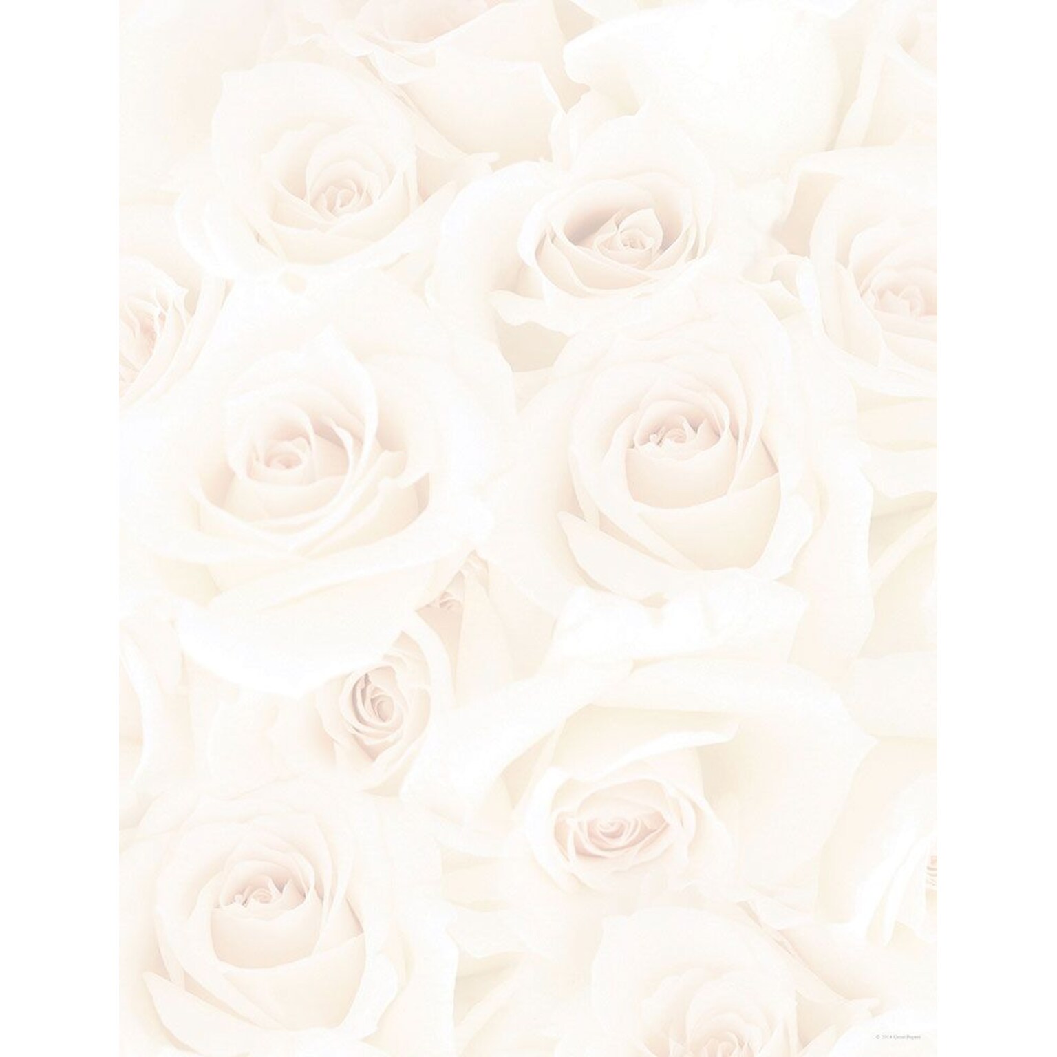 Great Papers! Blush Roses Letterhead 8.5 x 11, 80/Pack (2014334)