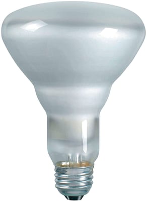 Philips Incandescent PRO BR30 Light Bulb, 65 Watts, 130V, 12/Pack (140079)