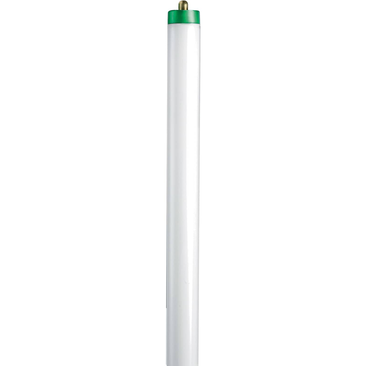 Philips Linear Fluorescent T8 Lamp, 59 Watts, Cool White, 25PK