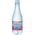 Ice Mountain® Brand Sparkling Natural Spring Water, Raspberry Lime, 16.9 Ounce Plastic Bottle, 24/Case (12349523/122056)