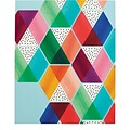 Erin Condren Journal Painted Peaks, 7 x 9 college ruled (2423299)