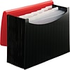 Smead Plastic Accordian File, 12 Pockets, Letter Size, Red/Black (70866)