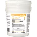 Liqu-A-Klor Liquid-Bactericide Disinfectant and Sanitizer, 5 Gallon (100839975)