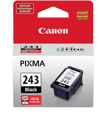 Canon 243 Black Standard Yield Ink Cartridge (1287C001)