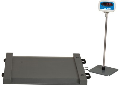 Brecknell Digital Floor Scale, 1000 lb. Capacity (DS1000)