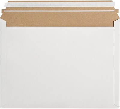 Express Pouch Mailer, 12 1/2 x 9 1/2, White, 250/Case (RM1EP)