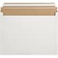 Express Pouch Mailer, 12 1/2" x 9 1/2", White, 250/Case (RM1EP)