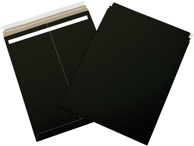 Self-Seal Flat Mailers, 17 x 21, Black, 100/Case (RM1721BK)