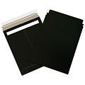 Self-Seal Flat Mailers, 9 3/4 x 12 1/4, Black, 100/Case (RM912BK)