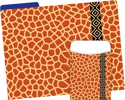 Barker Creek Giraffe Folder & Pocket Set, 42 Pieces Per Set (BC3546)