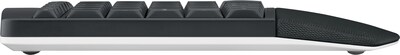 Logitech MK850 Performance Wireless Keyboard and Mouse Combo, Black (920-008219)