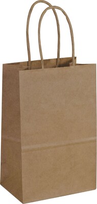 Bags & Bows 5 1/4 x 3 1/2 x 8 1/4 Mini Cub Paper Shoppers, 250/Pack (14-8)