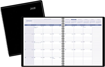 2018 Quill® Large Monthly Planner, 9 x 11 (QSM105MW)