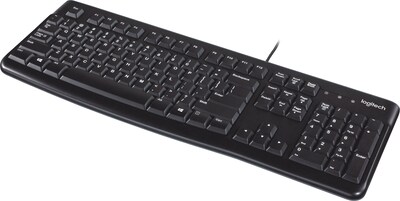 Logitech K120 USB Keyboard, Black (920-002478)