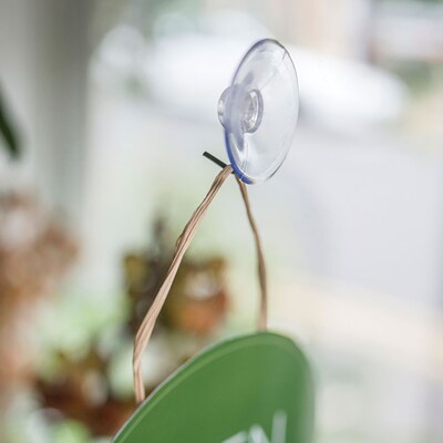 Deflecto® Suction Cup with Hooks, 1 3/4" (20011RT)