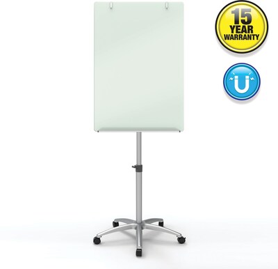 Quartet Infinity Magnetic Glass Dry-Erase Mobile Presentation Whiteboard Easel, Silver Base, 3 x 2 (ECM32G)