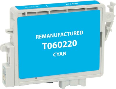 Clover Imaging Group Remanufactured Cyan Standard Yield Ink Cartridge Replacement for Epson T0602 (60)