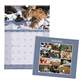 2018 Brownline® 12 x 17 Monthly Wall Calendar, Wildlife Theme (C173108)