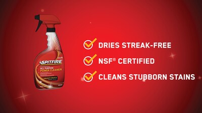 Spitfire® Professional All Purpose Power Cleaner, 32 Oz. Spray Bottle (CBD540038)