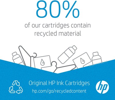 HP 65 Black Ink Cartridge, Standard Yield, 2-Pack