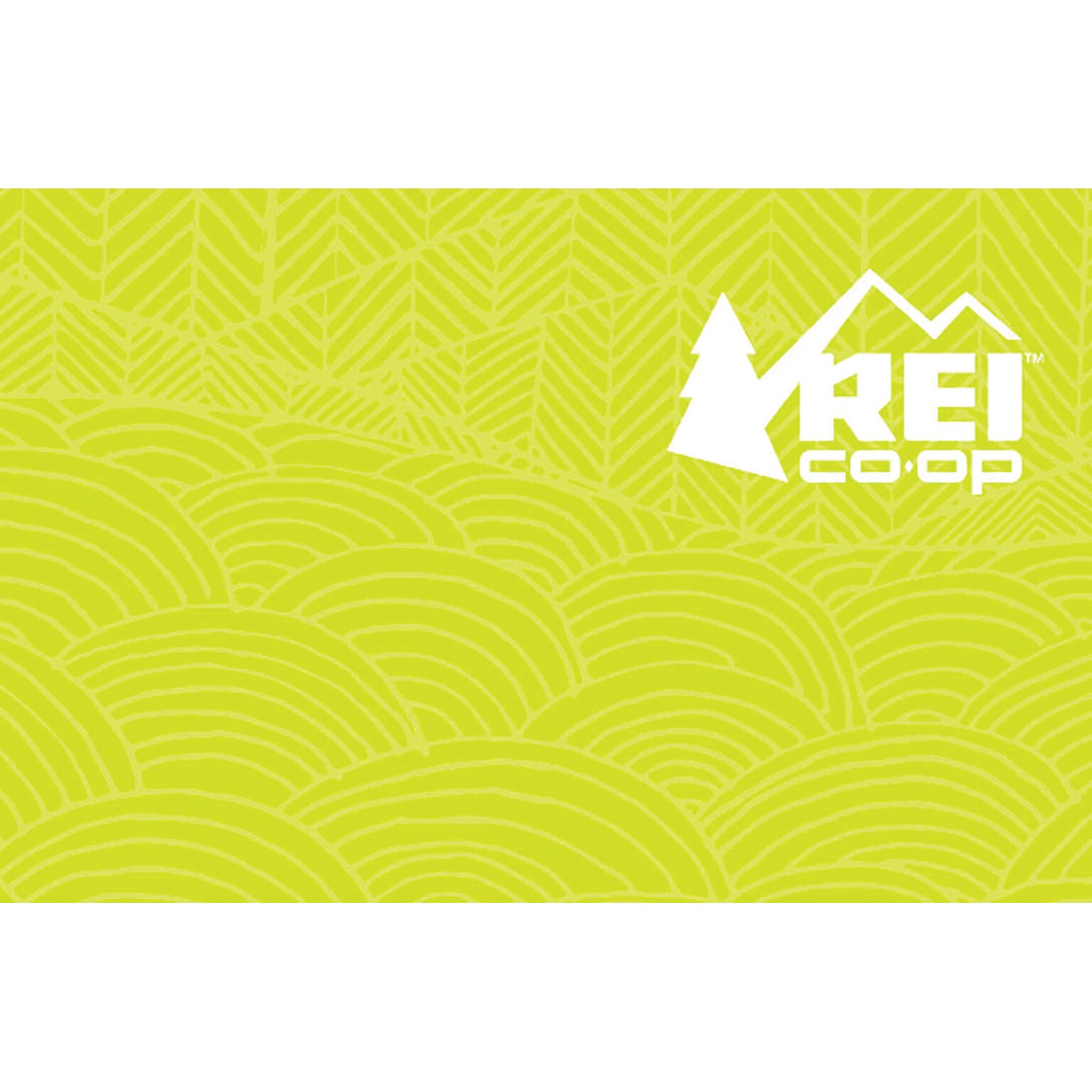 REI Gift Card $25