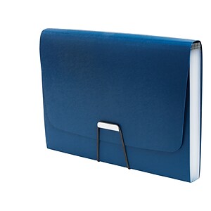 TRU RED™ Premium Hanging File Folder, 5-Tab, Legal Size, Standard Green,  20/Pk (TR45539)
