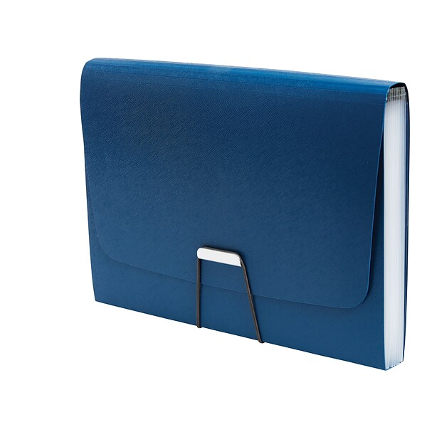 TRU RED™ Moisture Resistant Reinforced Plastic Filing Accordion File, 13-Pocket, Letter Size, Blue (TR52014)