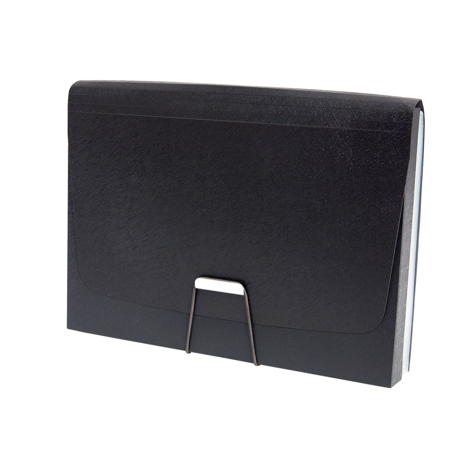 TRU RED Moisture Resistant Plastic Accordion File, 13-Pocket, Letter Size, Black (TR51806)