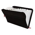 TRU RED Accordion File, 13-Pocket, Letter Size, Black (TR51817)