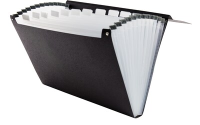 TRU RED™ Plastic Accordion File, 13-Pocket, Letter Size, Black (TR51807)