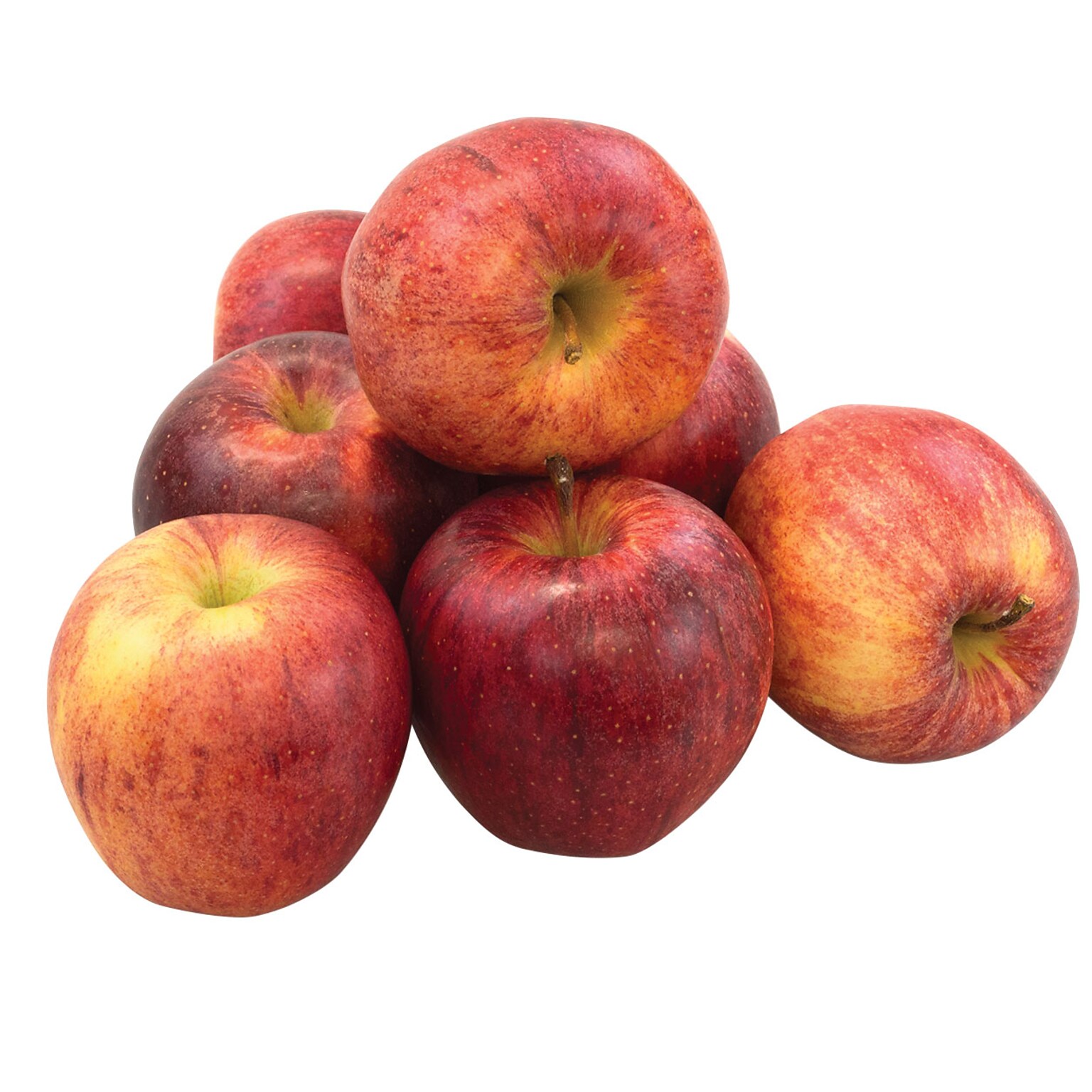 Fresh Gala Apples, 8/Pack (900-00032)