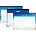 2018-2019 Blue Sky Academic Desk Pad Calendar, Endless Summer, 22 x 17 (BSK-102106-A19)