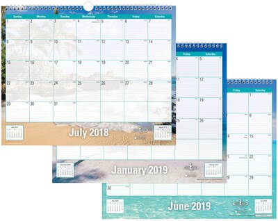 2018-2019 Blue Sky Academic Wall Calendar Endless Summer, 15 x 12 (BSK-102108-A19)