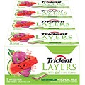 Trident Layers Sugar Free Watermelon & Tropical Fruit Gum, 14 Pieces/Pack, 12/Pack (304-00053)