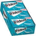 Trident Sugar Free Wintergreen Gum, 16 oz., 14 Pieces/Pack, 12/Pack (304-00058)